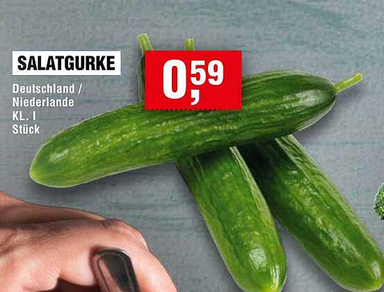 SALATGURKE