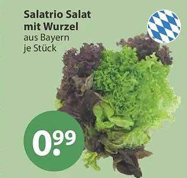 Salatrio Salat mit Wurzel aus Bayern je Stück