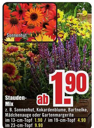 Stauden-Mix