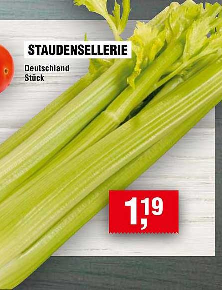 STAUDENSELLERIE
