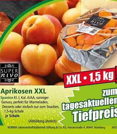 Aprikosen XXL - 1,5 kg Schale
