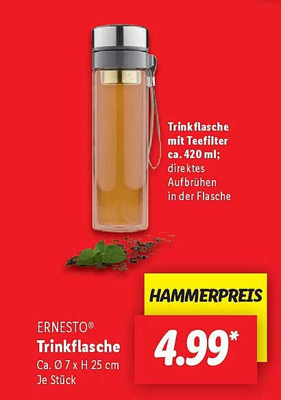 ERNESTO® Trinkflasche mit Teefilter 420 ml