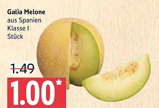 Galia Melone aus Spanien Klasse I Stück