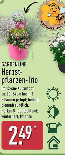 Gardenline Herbstpflanzen-Trio