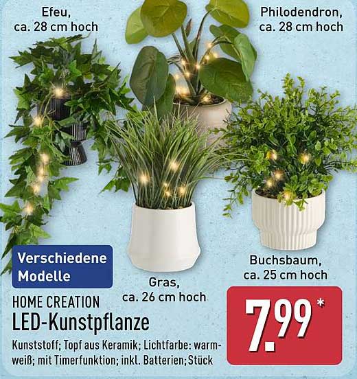 HOME CREATION LED-Kunstpflanze