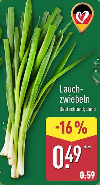 Lauchzwiebeln Deutschland; Bund