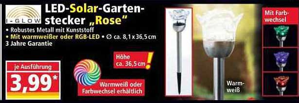 LED-Solar-Gartenstecker „Rose“