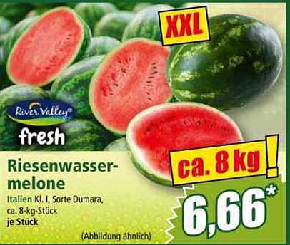 Riesenwassermelone – Italien Kl. I, Sorte Dumara, ca. 8-kg-Stück