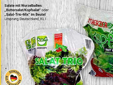Salate mit Wurzelballen: Buttersalat/Kopfsalat oder Salat-Trio-Mix im Beutel