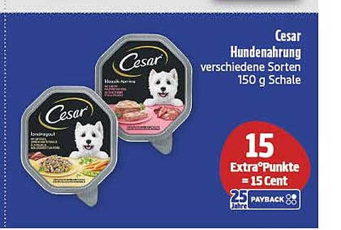 Cesar Hundenahrung verschiedene Sorten 150 g Schale