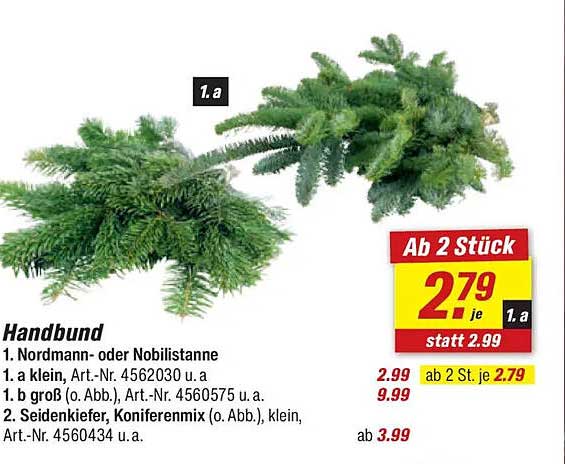 Handbund Nordmann- oder Nobilistanne – Frischer Grün für Ihr Zuhause