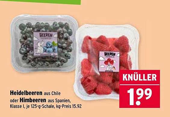 Heidelbeeren aus Chile oder Himbeeren aus Spanien, 125-g-Schale, je 1,99