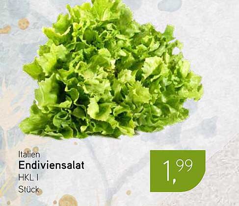 Italien Endiviensalat | HKL | Stück