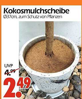 Kokosmulchschnitzel Ø37cm, zum Schutz von Pflanzen