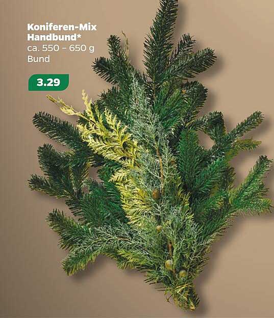 Koniferen-Mix Handbund