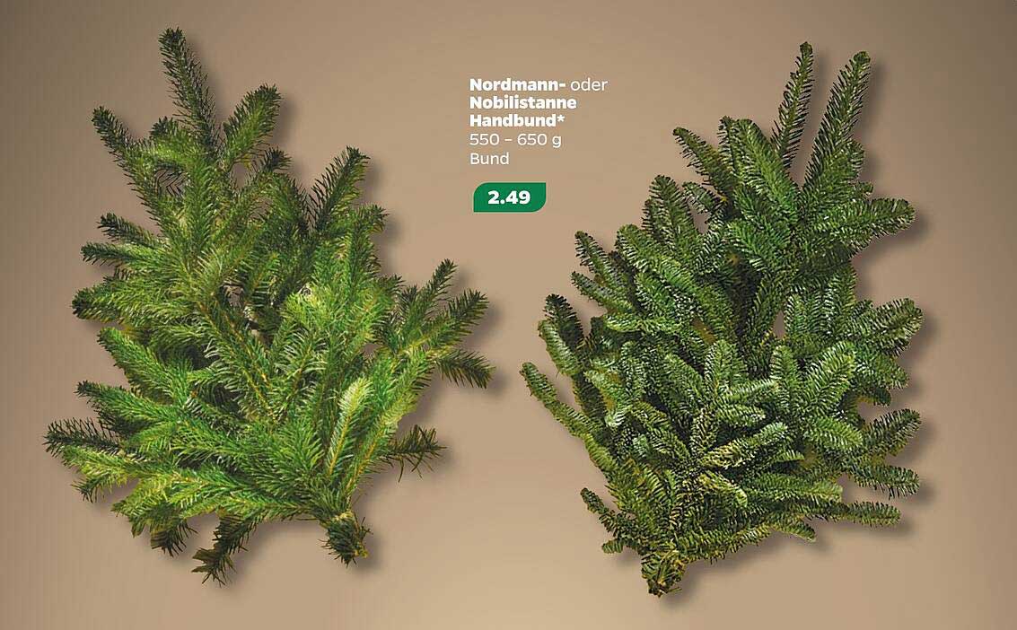 Nordmann- oder Nobilistanne Handbund* 550 - 650 g