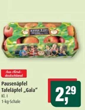 Pausenäpfel Tafeläpfel „Gala“ KL I - 1-kg-Schale