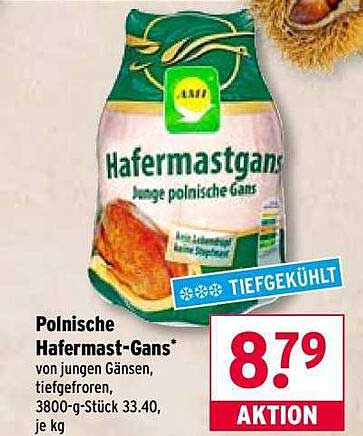 Polnische Hafermast-Gans von jungen Gänsen, tiefgefroren