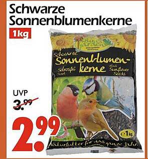 Schwarze Sonnenblumenkerne 1kg