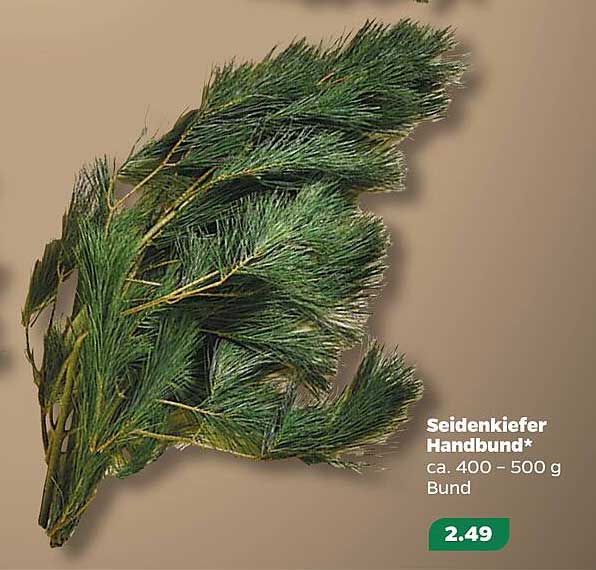 Seidenkiefer Handbund* - ca. 400 - 500 g Bund