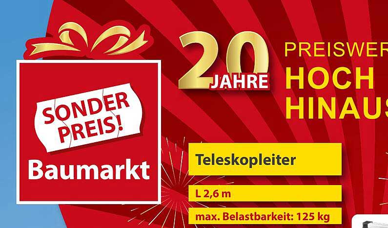 Teleskopleiter L 2,6 m mit max. Belastbarkeit 125 kg