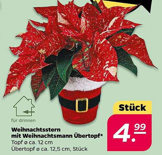 Weihnachtsstern mit Weihnachtsmann Übertopf