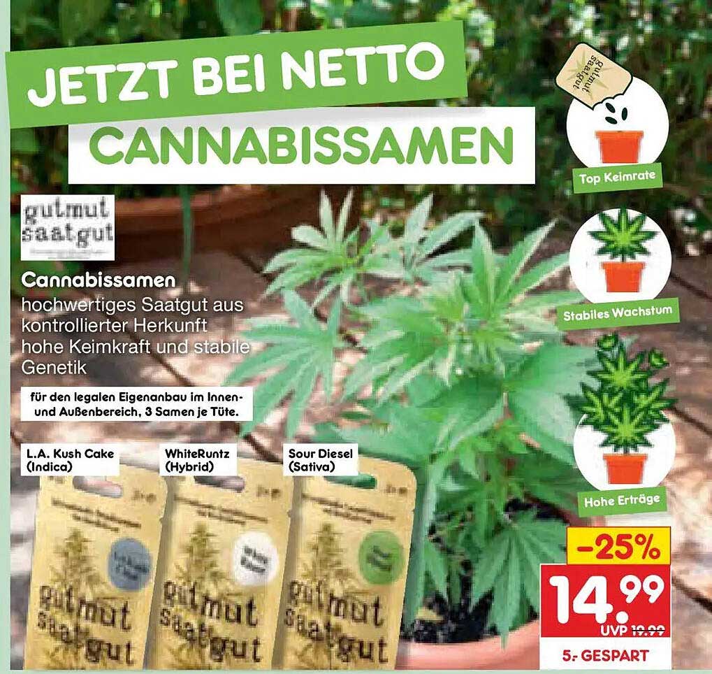 Cannabissamen
