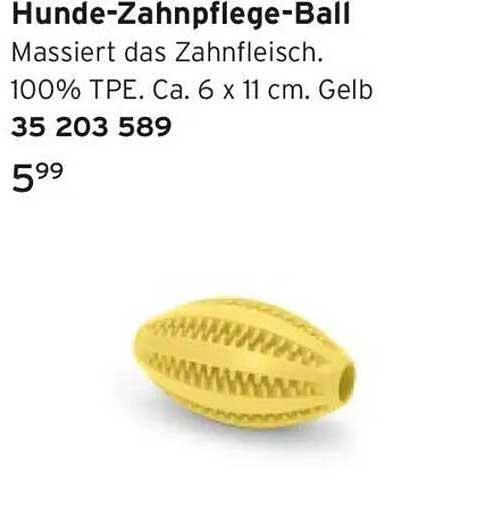 Hunde-Zahnpflege-Ball