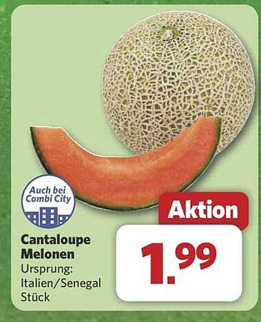 Cantaloupe Melonen Stück
