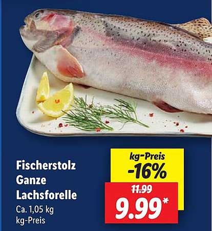 Fischerstolz Ganze Lachsforelle