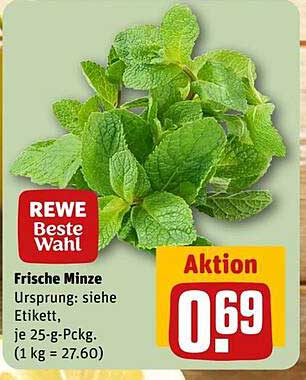 Frische Minze - Aktion 0,69 €