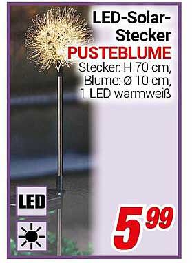 LED-Solar-Stecker PUSTEBLUME