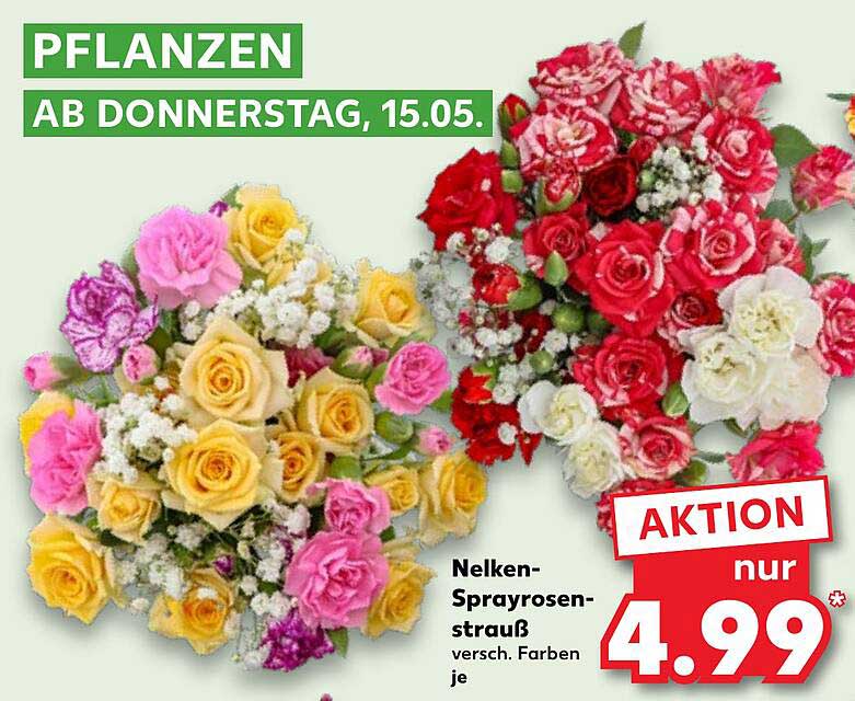 Nelken-Sprayrosenstrauß - versch. Farben