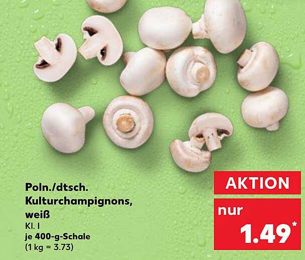 Polnische/dutsche Kulturchampignons, weiß - je 400-g-Schale