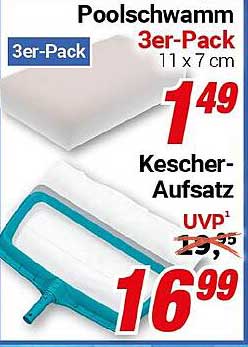 Poolschwamm 3er-Pack und Kescher-Aufsatz