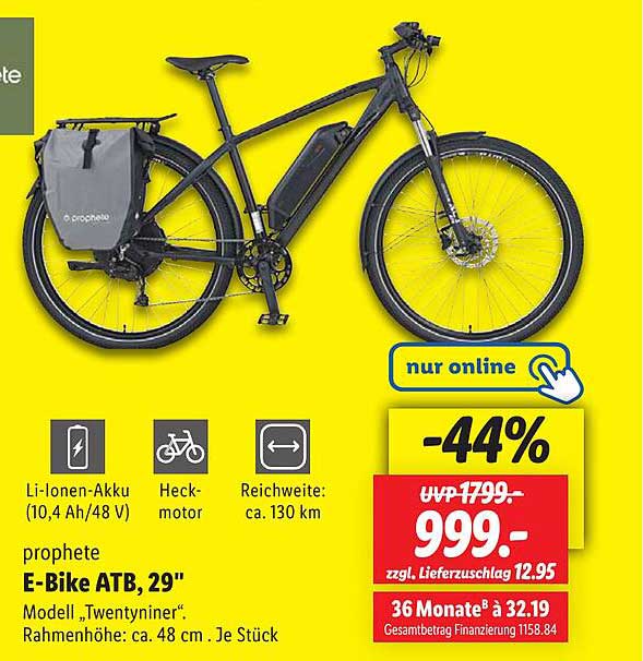 prophete E-Bike ATB, 29" - Modell „Twentyniner“