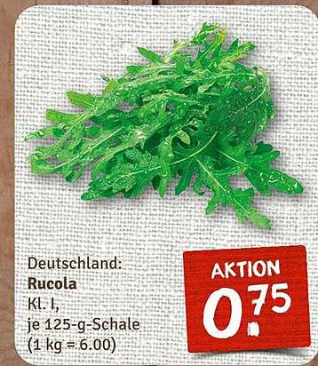 Rucola - frisch und vielseitig!