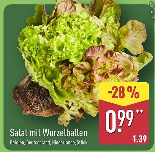 Salat mit Wurzelballen