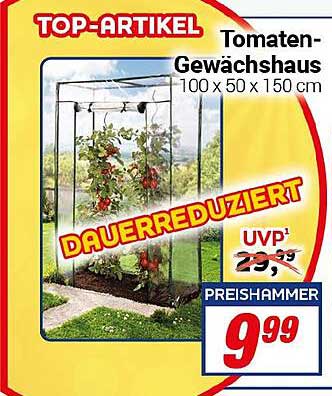 Tomaten-Gewächshaus 100 x 50 x 150 cm