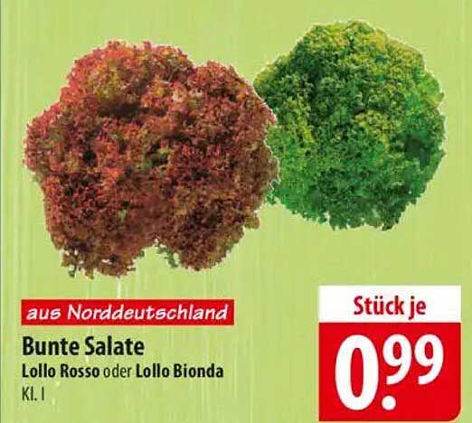Bunte Salate - Lollo Rosso oder Lollo Bionda