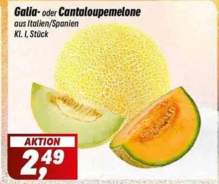 Galia- oder Cantaloupemelone aus Italien/Spanien, Kl. I, Stück