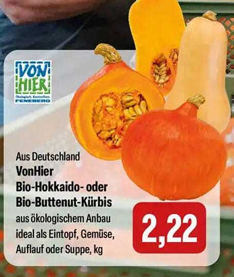 Bio-Hokkaido- oder Bio-Butternut-Kürbis aus ökologischem Anbau
