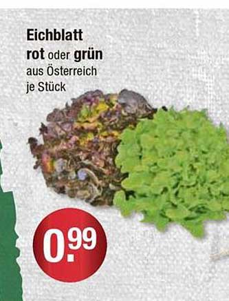Eichblatt rot oder grün aus Österreich je Stück