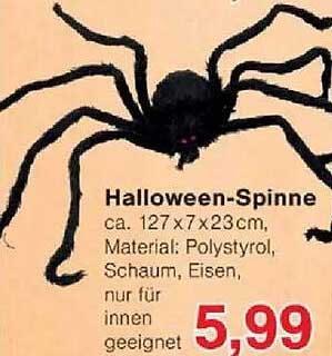 Halloween-Spinne
