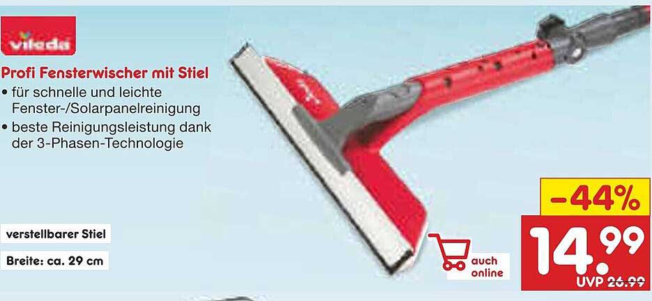 Profi Fensterwischer mit Stiel