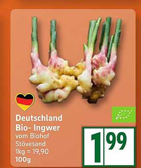 Deutschland Bio-Ingwer vom Biohof Stövesand