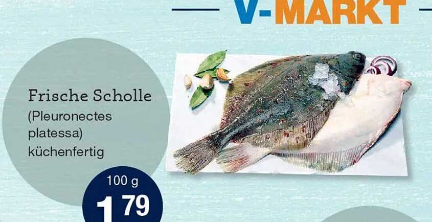 Frische Scholle (Pleuronectes platessa) küchenfertig