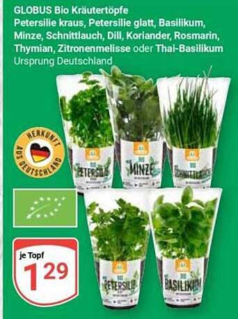GLOBUS Bio Kräutertöpfe - Frische aus Deutschland