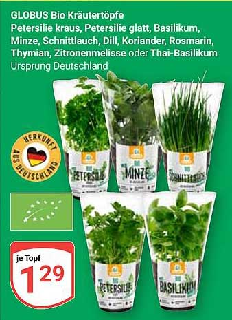 GLOBUS Bio Kräutertöpfe – Frische Kräuter für Ihre Küche