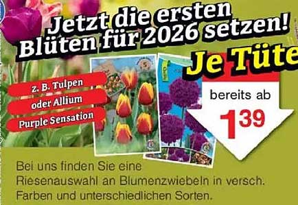 Jetzt die ersten Blüten für 2026 setzen! Je Tüte bereits ab 1,39